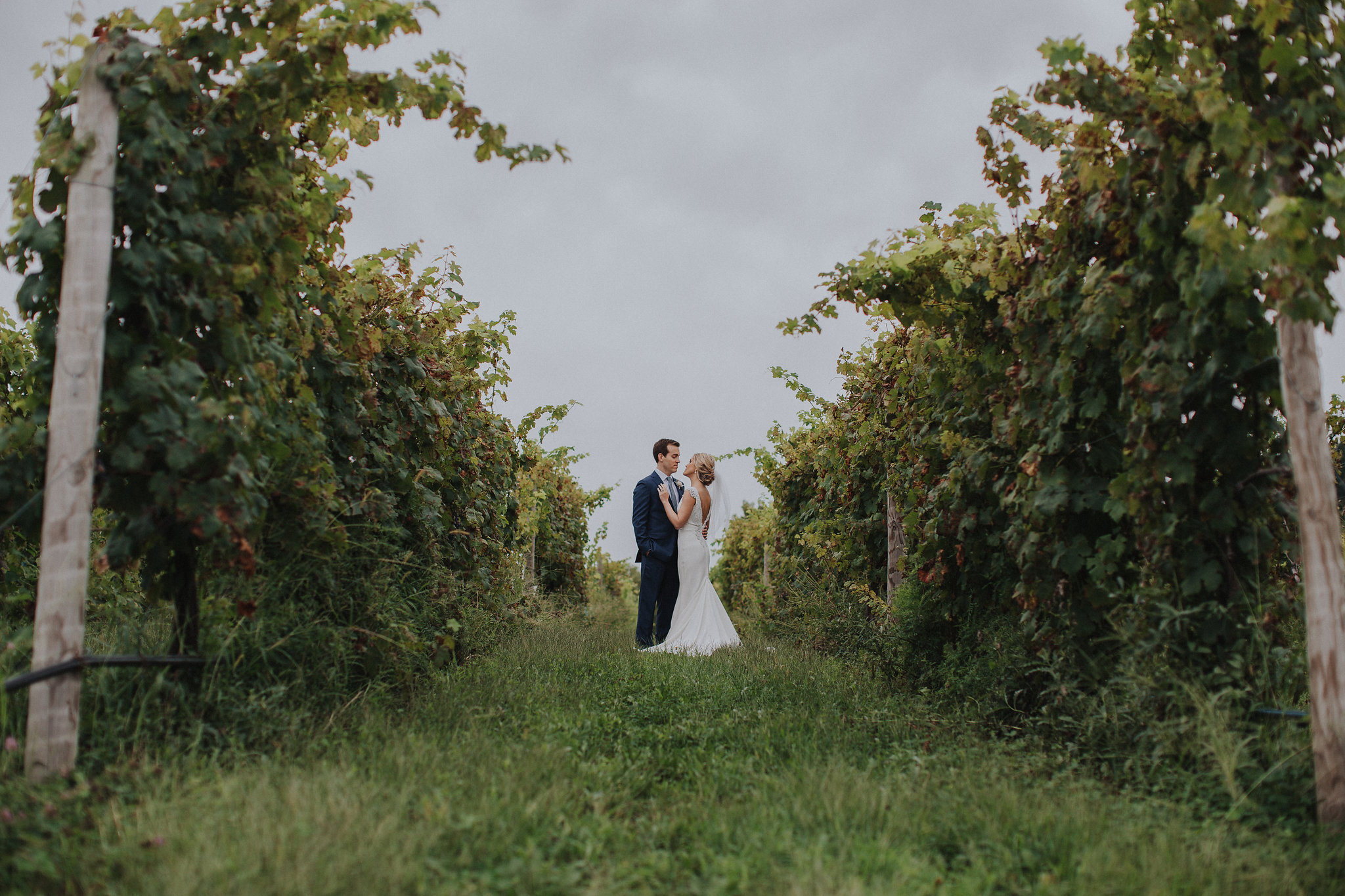 Bridal couple in the vineyard