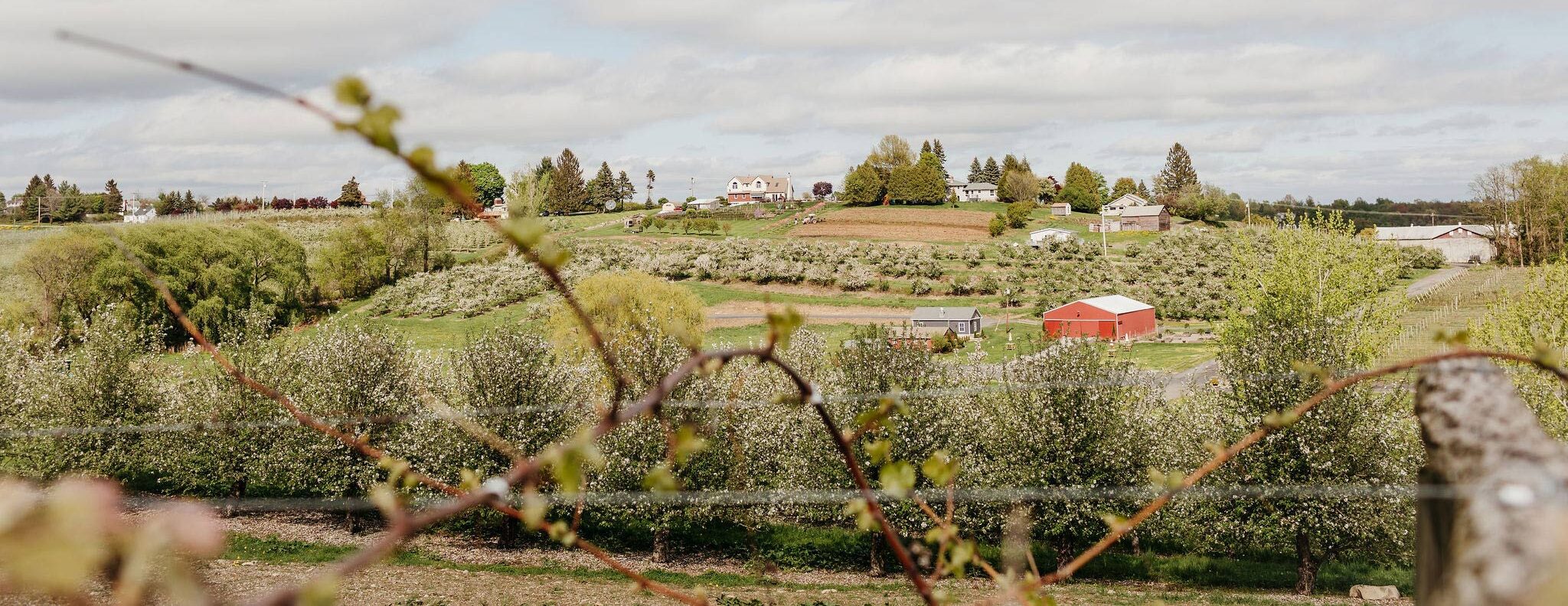 far view of nostrano barn